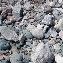 筑石建材 灰色鹅卵石 大型鹅卵石产地批发
