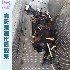 山东潍坊轩润供应病死动物处理设备 环保无害处理设备 病死动物处理设备