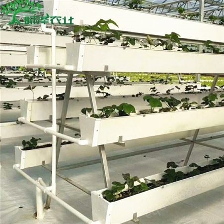 无土栽培设备 欢迎选购 pvc无土栽培种植槽可定制 时泽
