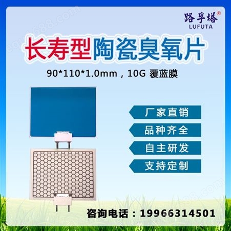 10g长寿型臭氧陶瓷片 陶瓷臭氧片 臭氧消毒机芯片，广东空气净化器 电子陶瓷厂家