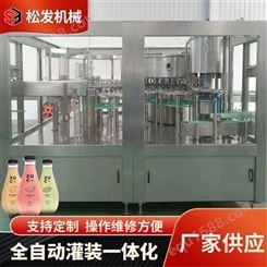 果汁饮料机 松发机械 果汁饮料生产设备 订购小型瓶装水生产线