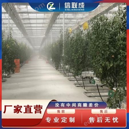 上海温室大棚喷雾加湿降温系统 冬季大棚加湿
