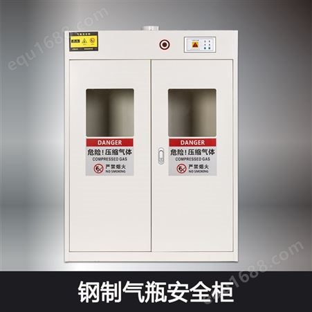 智能安全气瓶存储柜  供应全钢气体柜 实验室双瓶气瓶柜