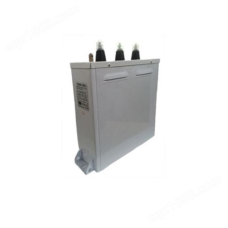 进口小型化自愈式低压电容器 ESBEL400-3-2.5 3.6A