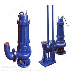 整机304/316L污水泵 潜水污水泵 耦合器污水泵 污水排污泵型号