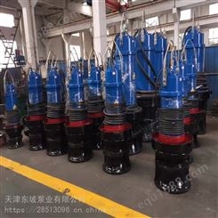 900QZB潜水轴流泵制造厂-天津东坡泵业