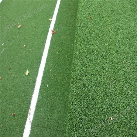 青岛足球场铺装草好-维护足球场草坪