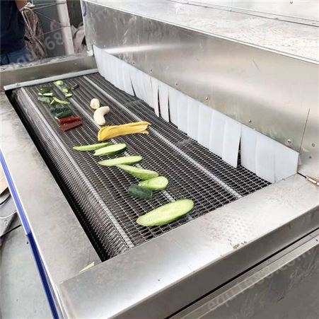 300kg水果蔬菜隧道式速冻机
