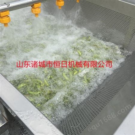 厂家果蔬气泡清洗机 不锈钢食堂净菜加工设备 恒日商用洗菜机
