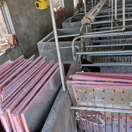 猪场设备 电热板 仔猪加热板 养殖地暖板