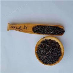 农家自产黑米 五谷香 应季黑米杂粮 长期供货