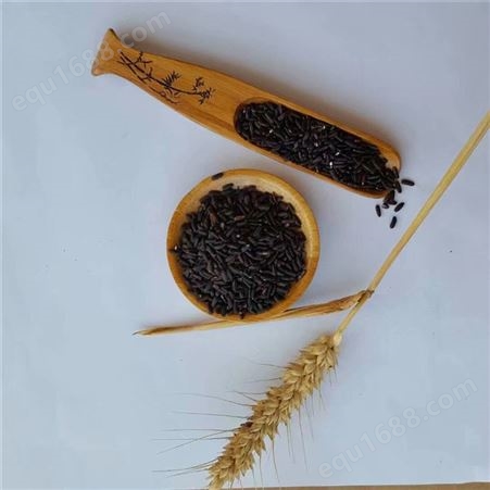 五谷香 农家自产黑米 农家黑大米 好口感 量大优惠