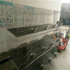 昆明有子母兔笼卖 兔笼子母笼12笼位 青岛兔笼生产厂家