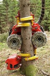 海口临工伐木机-智造大观 砍树机 欢迎来厂