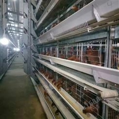 鸡笼  种类有肉鸡笼 蛋鸡笼 育雏鸡笼 厂家定制鸡笼 支持来样加工来图加工 批发定制