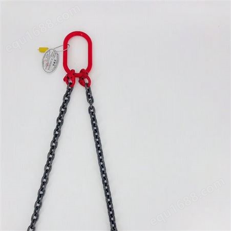 钢丝绳吊具生产厂家  船用吊索具 手拉葫芦吊钩卸扣索具