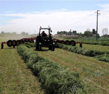 农用搂草机 指盘式搂草机 多盘牧草秸秆机械