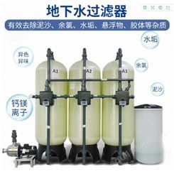 绿饮LY-1T 井水处理设备 水处理 大型过滤设备 除铁去垢水过滤