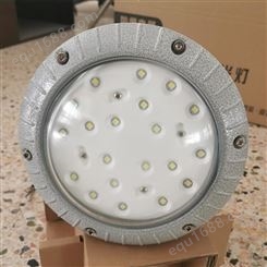 FGV6246-LED50莱昂LED防水防尘防腐泛光灯50W白光