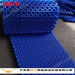 供应屠宰分切加工生产线链板  水产加工塑料链板输送带 耐高温塑料链板规格 塑料链板