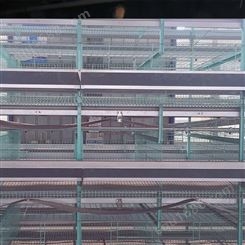 层叠式蛋鸡笼 养殖场鸡笼设备 供应定制 三层雏鸡笼笼具批发