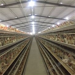 家用层叠式种鸡笼 阶梯式三层传送带式鸡笼肉鸡笼养殖笼 厂家现货