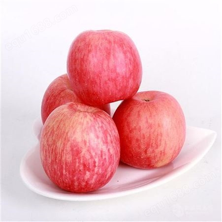 皮薄肉厚的红富士 冷库红富士苹果膜袋价格表