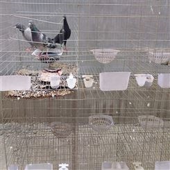 3层12位鸽子笼 鸽子笼厂家 报价销售 镀锌铁丝鸽子笼