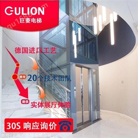 小型家用电梯报价 Gulion/巨菱家用楼中楼电梯别墅电梯 300KG电梯