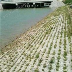 济宁嘉元工贸水利护坡砖可定制多种规格