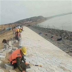 济宁嘉元工贸水泥护坡砖支持定制量大优惠