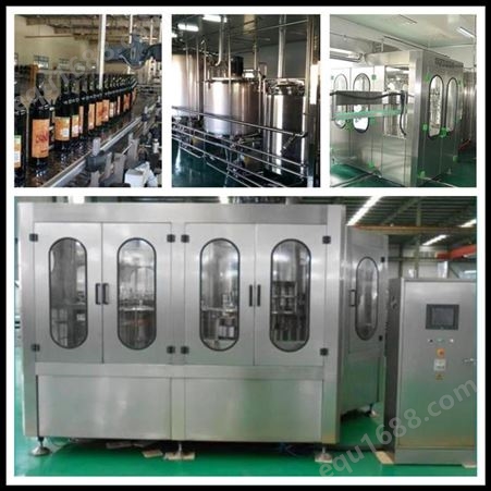 ZYL-8000全自动果汁生产线 小型沙棘饮料设备 整套苹果汁加工机器