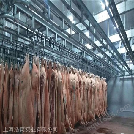 猪肉加工车间冷冻库建设，排酸冷库设计规划方案