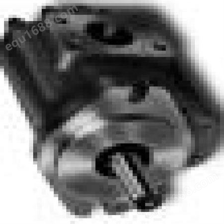 厂家批发原天津特精液压泵G5-30-6-1E13S-20-R双联泵双联齿轮泵（现货）
