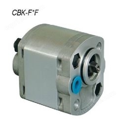 供应天津系列体积小高压CBK齿轮泵(现货)