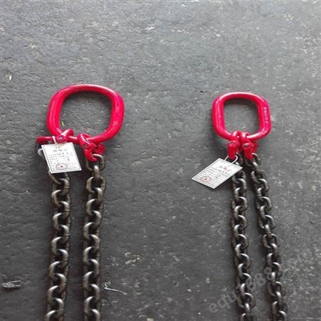神州sw133G80锰钢起重链条吊索具 起重链条索具 四条腿链条 环形链条