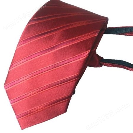 领带 女士领带定制 工厂直供 和林服饰