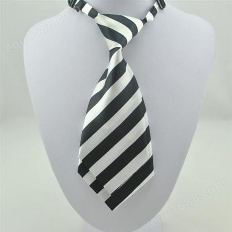 领带 来样定制领带 现货可定制 和林服饰