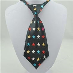 领带 商务领带定制 工厂出售 和林服饰
