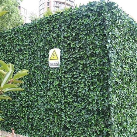 无锡室内植物墙安装  绿墙供应