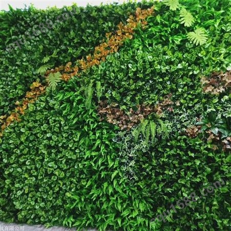 江苏植物墙施工 垂直绿化植物墙
