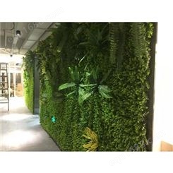 植物绿墙 江苏庭院立体植物墙安装