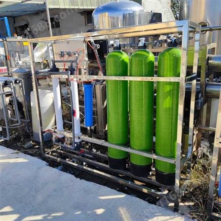 玻璃水防冻液设备 0.5吨双极反渗透水处理 玻璃水设备