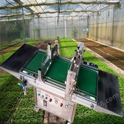 全自动蔬菜穴盘育苗播种机 省时省人工 是现代化农场采购设备