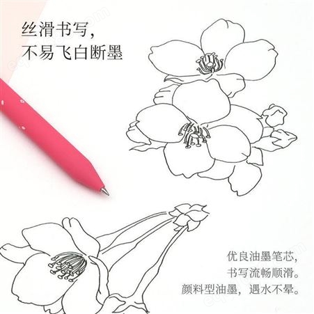 樱花KACO字母笔套装按动式彩色笔杆黑色中性水笔办公考试用笔