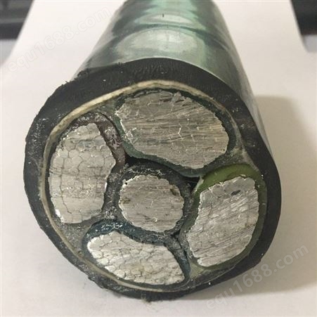 中策 铝芯电缆低压聚乙烯0.6/1千伏VLV4*50+1*25平方 国标铝芯电缆