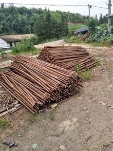 专业加工杉木绿化杆   杉木绿化杆定制  杉木绿化杆厂家