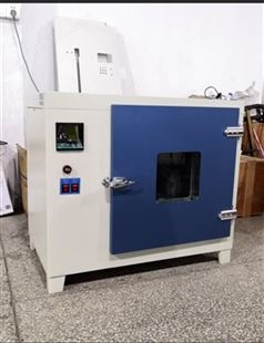 Y101A型系列电热鼓风  恒温干燥烘箱  专用设备定制加工