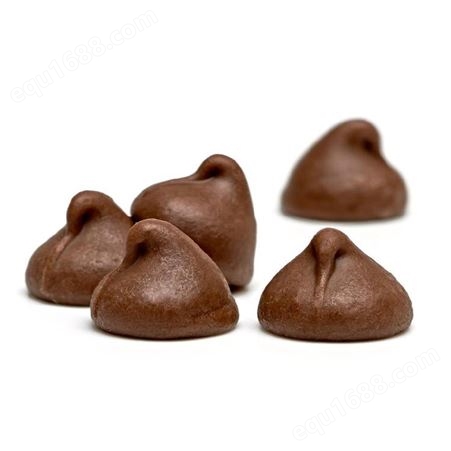 四川成都耐斯特 全国批发巧克力滴浇机 快速成型巧克力制作设备