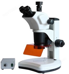 荧光体视显微镜WSZF600